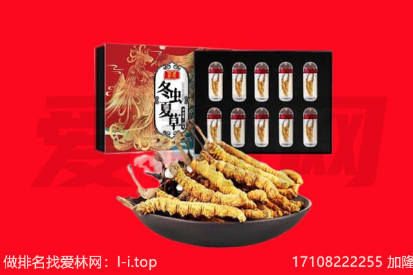 吉安遂川县回收虫草.jpg